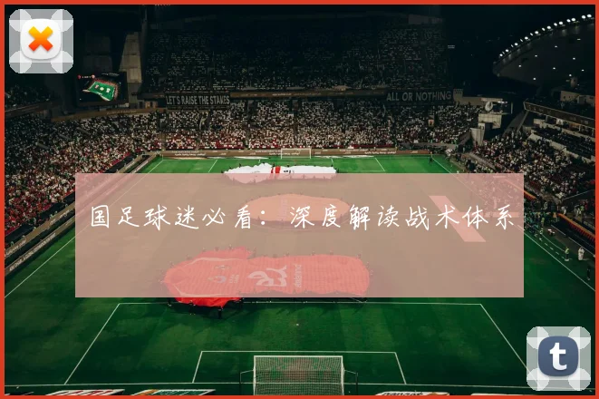 国足球迷必看:深度解读战术体系