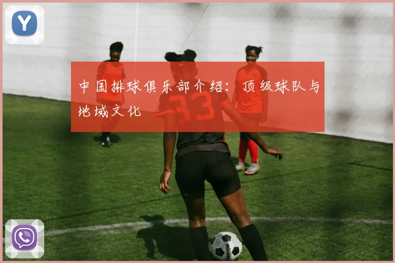 中国排球俱乐部介绍：顶级球队与地域文化