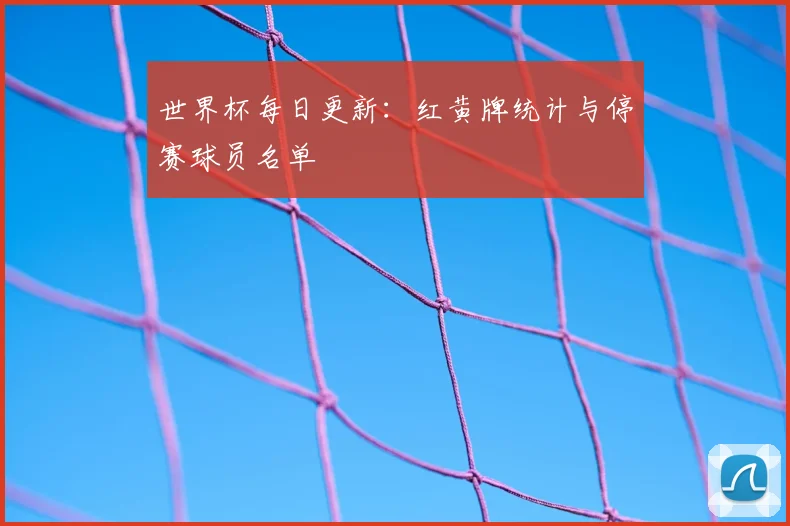 世界杯每日更新：红黄牌统计与停赛球员名单
