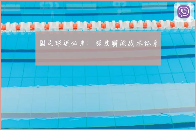 国足球迷必看：深度解读战术体系