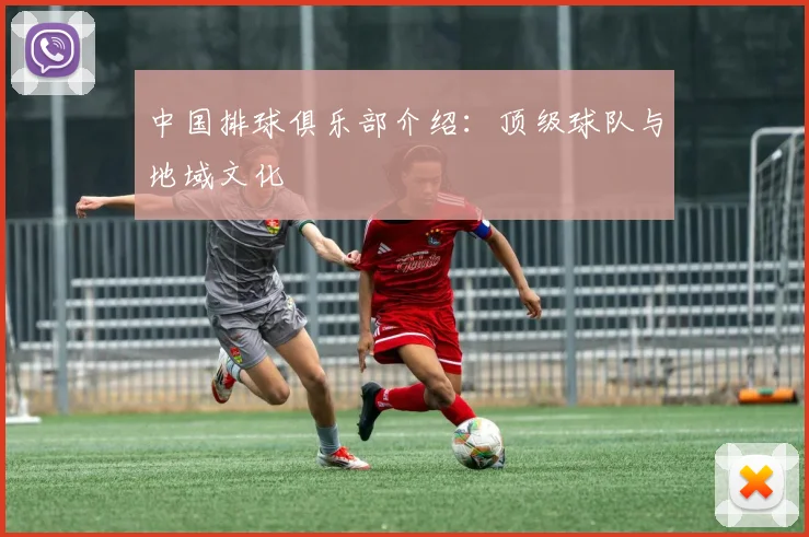 中国排球俱乐部介绍：顶级球队与地域文化