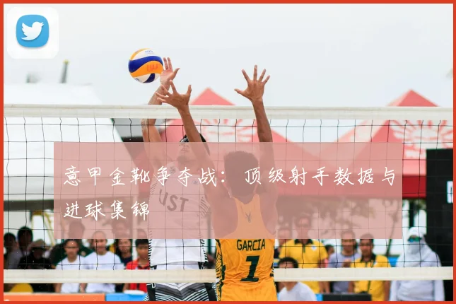 意甲金靴争夺战：顶级射手数据与进球集锦