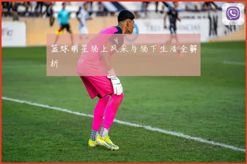 篮球明星场上风采与场下生活全解析